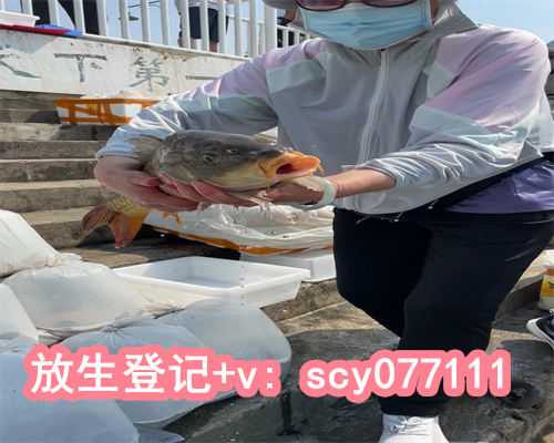 放生选择什么动物最好，求婚最佳时机怎么选求婚时间的选择