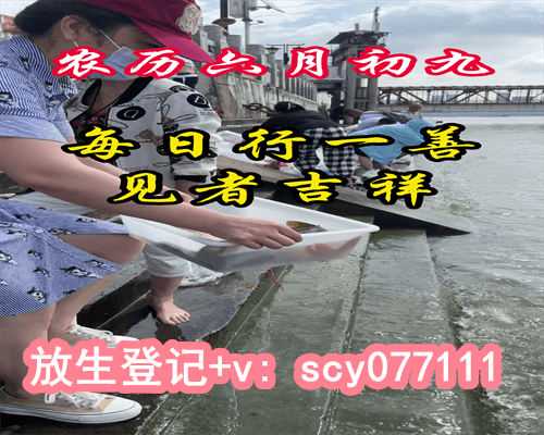 小蝙蝠怎么放生的视频，小清新的苹果三色素意粉（内附视频）