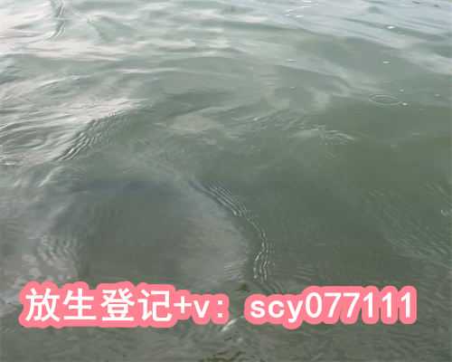 大闸蟹能放生小区湖里吗，西湖补种起了荷花提醒：请不要随意往湖里放生