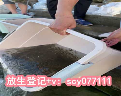 放生小鸟比鱼好，小鸟飞入寻常百姓家非保护动物建议放生