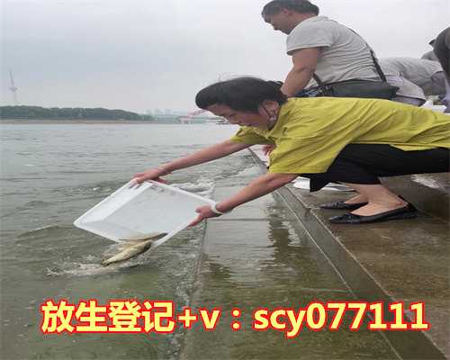 放生适合放什么植物，圆满放生：适合带水暂养的鲶鱼放生2