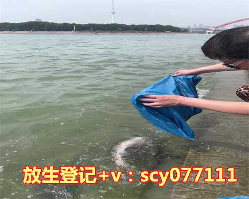 放生鱼几条最好或几斤最好呢，风水鱼有哪些，养几条，家庭养鱼