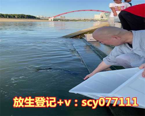 端午放生乌龟，乌龟吃老鹰