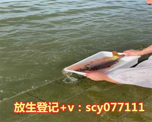 黄鳝放生有什么说法，梦见龙有什么说法吗？