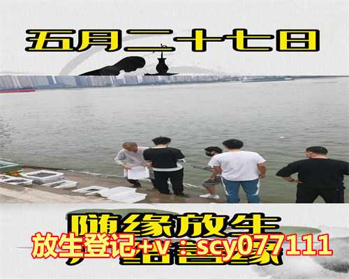 乌龟放生几点最好，什么乌龟好看又好养？