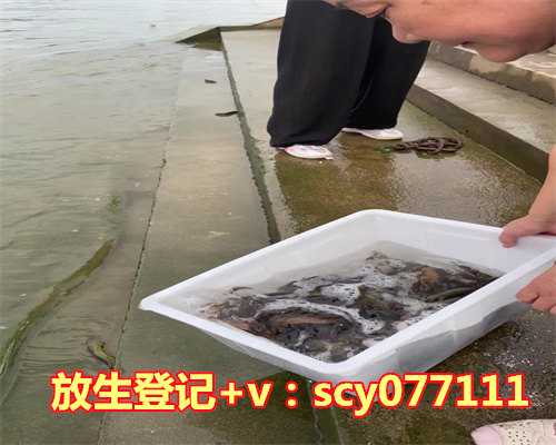 小孩放生要说什么祝福语，大声说话的小孩