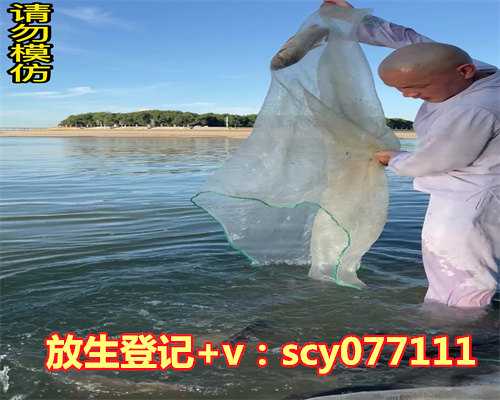 一天当中什么时间放生最好，痛经吃什么最好