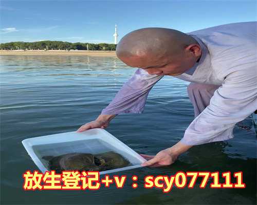 白云湖放生，清空山云：戒杀、护生、放生！