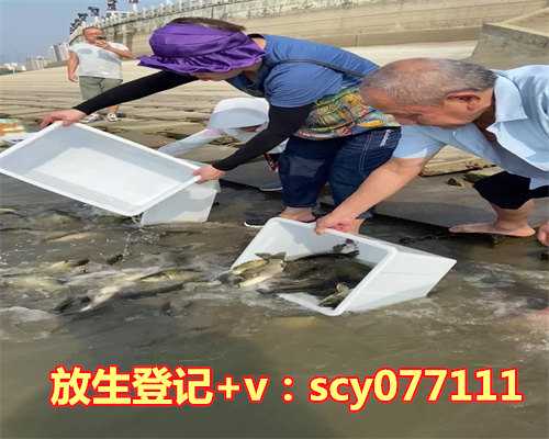 长江鱼苗放生，200余年12公斤野生乌龟放生长江