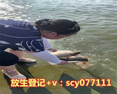 九月初九放生有什么说法吗好吗，农历九月，阳历十月出生的是什么星座？