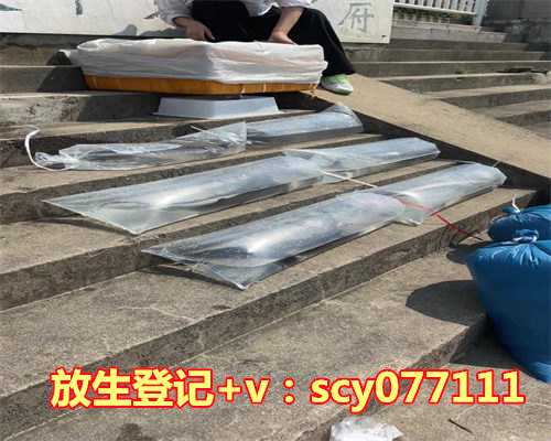 川杨河哪里适合放生鱼，圆满放生：适合带水暂养的黑鱼放生2