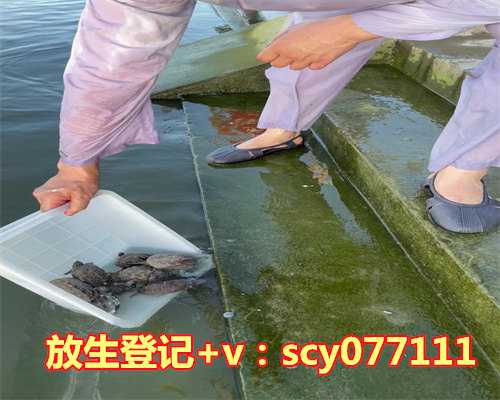 武汉哪里能放生锦鲤，武汉市宗教事务条例