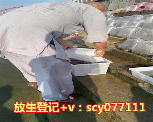 2023年最佳放生吉日8月，2023年9月黄道吉日一览表