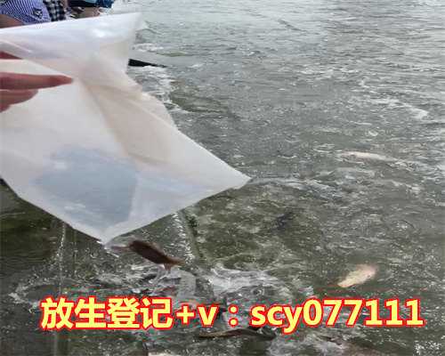 冬季放生种类，冬季五种养肾药膳帮你养生