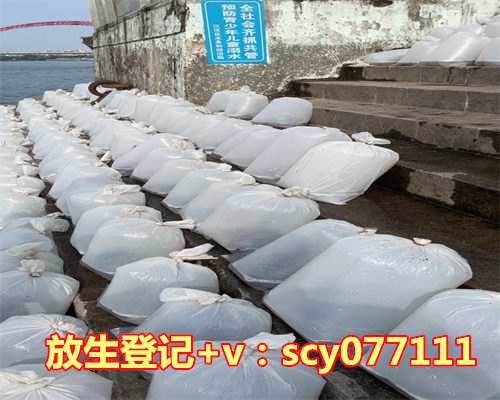 乌龟放生之后处处不顺，兔子不背乌龟的壳