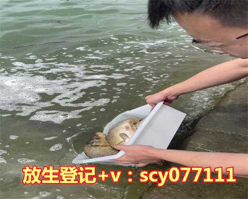 买鸟放生是什么意思，买蛇放生意识