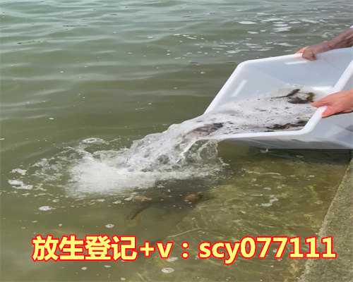 厦门哪里能放生草鱼，学生党厦门素食一日游记