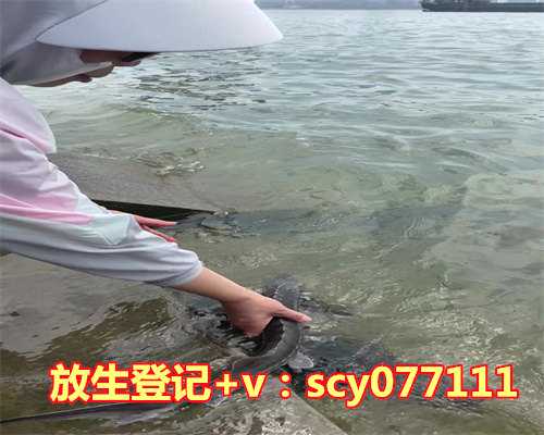 黄岛淡水放生的地方在哪，放生的野狐护他在地震中周全