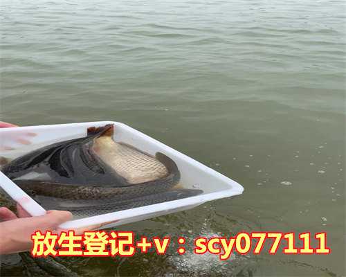 放生用的乌龟是哪种，放生乌龟有什么禁忌没有？比如在龟背上刻字的问题