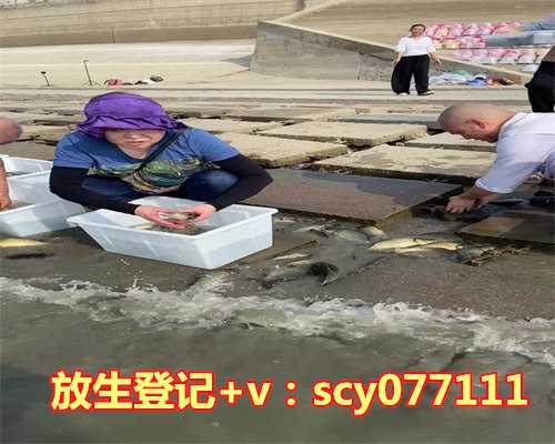 生日当天放生什么讲究好，家中植物摆放风水有什么讲究，应该摆放什么位置比