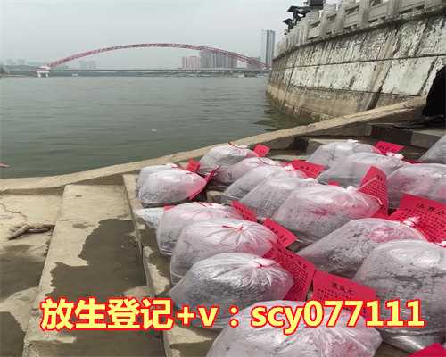 放生鲤鱼回头说明什么，鳝鱼放生时需要注意些什么