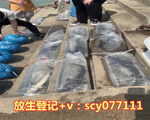 东莞哪里能放生动物，东莞美女爱素食爱生活爱慈善