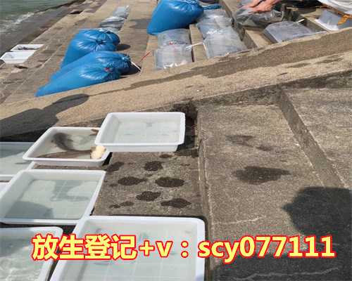 放生需要说些什么祝福语，生日祝福语八个字