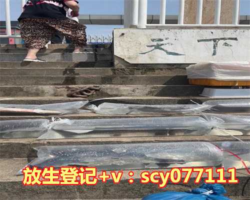 放生有罪过吗，你们有见过接阴婆婆吗？