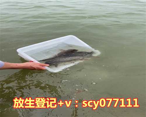 武汉那里可以放生，武汉市宗教事务条例