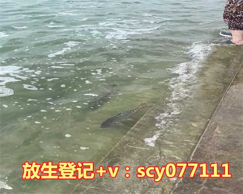 黑鱼放生有什么寓意，梦见亲人得病去世寓意是什么意思？