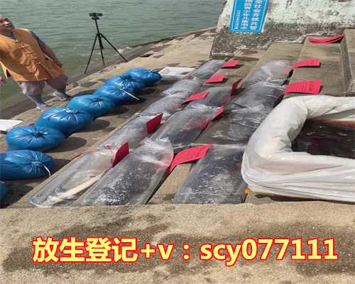 放生适合什么时间放鱼，圆满放生：适合干法暂养的河蚌放生3