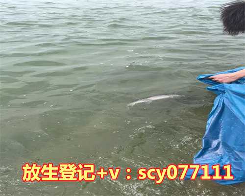 放生鱼苗的功德与作用，柴胡的功效与作用