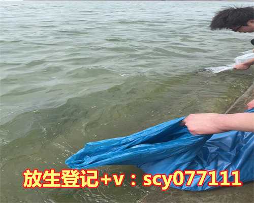 放生一定要在上午吗，邪YIN重的人一定要多放生！