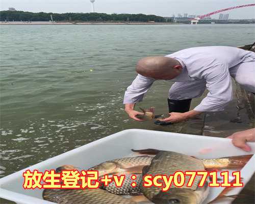 给堕胎的孩子放生好吗有影响吗，怎样怀孕影响孩子的生命质量