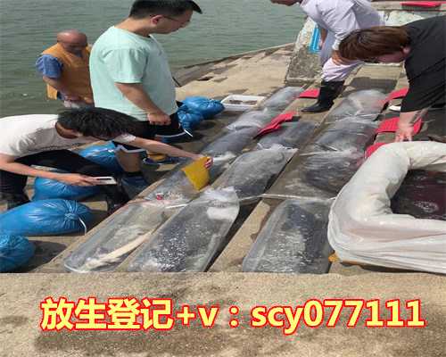 小乌龟放生了会不会死，刚放生的乌龟被钓上岸，万元卖出