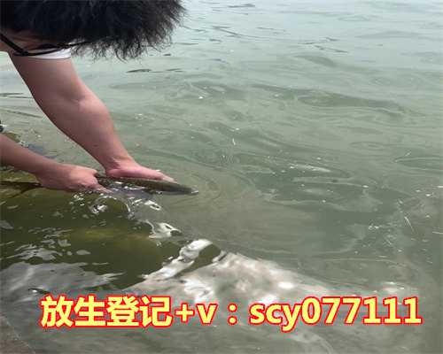 河南哪里放生甲鱼好，河南傻根的故事