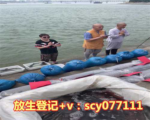 武汉放生龟能活吗，这十支国家紧急医学救援队驰援武汉