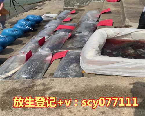 为什么不能买鱼放生，为什么放生能助病人好转？