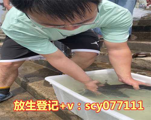 乌龟来家里有什么预兆要放生吗，放生乌龟有什么禁忌没有？比如在龟背上刻字