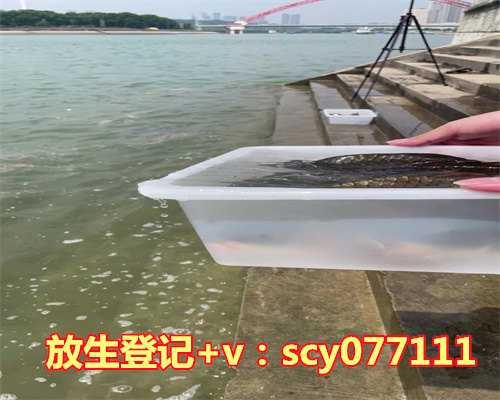 买了两条金鱼放生，娃娃鱼被捕热心市民买下放生