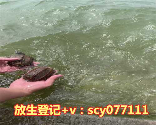 农历8月放生时间吉日查询，结婚登记黄道吉日查询