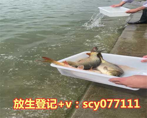 2023年6月放生吉日时间表图片，​2023年七月哪天是黄道吉日2023年七月最吉利的