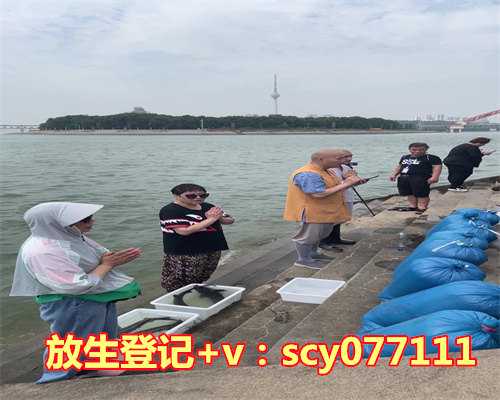 番禺哪里有江边适合放生，老年人适合喝哪些茶