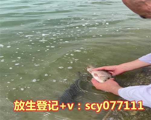 武汉哪里允许放生乌龟，武汉近年10万人接受整形数百人欲整成范冰冰