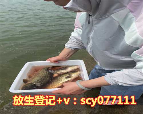 武汉哪里能放生乌龟，武汉市首个中医方舱医院首批患者治愈出院