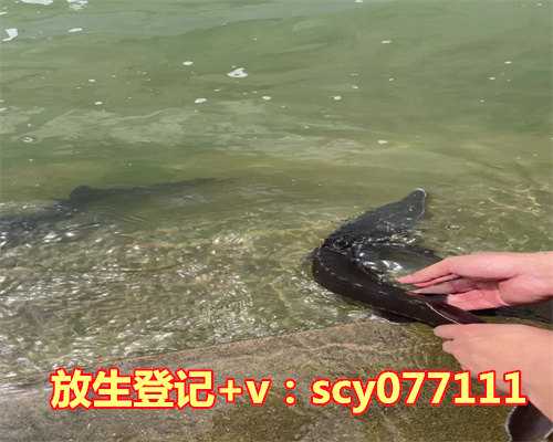 路上捡到活鱼放生了，钓到的鱼到底该不该放生？渔友这样放生大家怎么看？