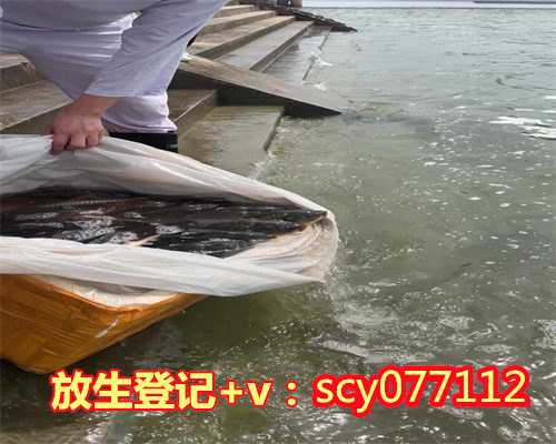 放生黄鳝代表什么意思啊，梦见亲人死而复生代表什么意思