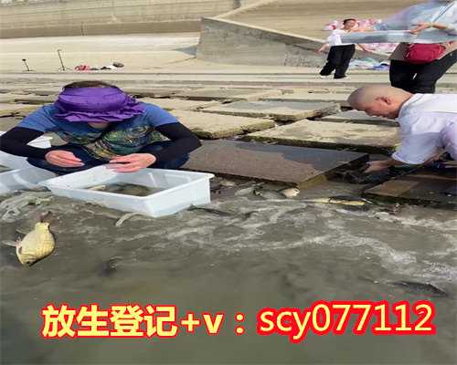 端午节放生鱼好吗，鲤鱼什么时间放生好？