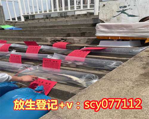 过生日放生鱼什么寓意好一点，放生金鱼的寓意1