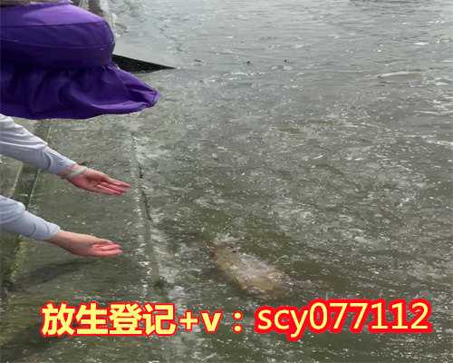 甲鱼放生的功德与禁忌，香附的功效与作用及禁忌